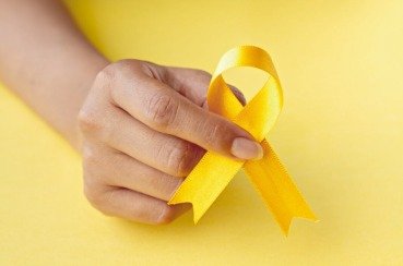 https://cdn.65news.com.br/storage/webdisco/2025/06/30/370x278/c4453e49200360cc3ec5423e50443b2e.jpeg