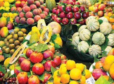 Tarifaço de Trump coloca em risco principal polo exportador de frutas do Brasil