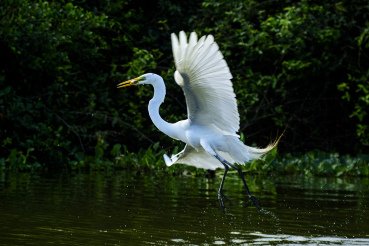 https://cdn.65news.com.br/storage/webdisco/2025/07/20/370x278/f43d0bcf8cc69db71766002aaf6f73a5.jpg