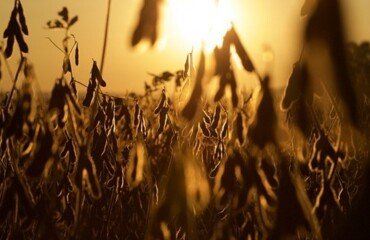 https://cdn.65news.com.br/storage/webdisco/2025/08/22/370x278/8893a857f466b36f1f6eedbeef158669.jpg