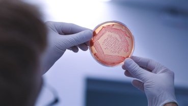 Maiores empresas de bioinsumos faturam R$ 5 bilhões
