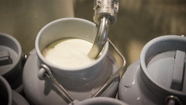 Setor leiteiro do Sul pede socorro diante de importações e superoferta