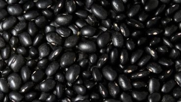 Mercado de feijão mantém firmeza apesar de poucos negócios