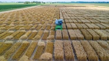 Internacionalização da Unemat vai da sala de aula ao 