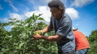 Conab capacita agricultores familiares para ampliar acesso a programas de compras públicas