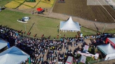 Abertura da Colheita reposiciona o debate do arroz ao conectar produção e mercado