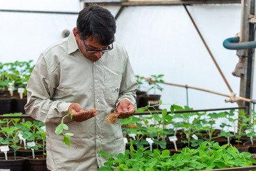 Uso de bioinsumos eleva em mais de 8% a produtividade da soja no Paraná