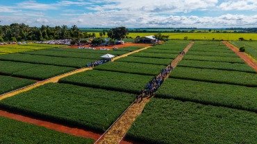 Aprosoja Mato Grosso realiza 1º Giro de Pesquisa no Vale do Guaporé