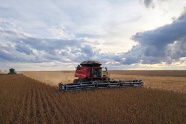 Aprosoja MT alerta que chuvas desafiam colheita da soja em Mato Grosso