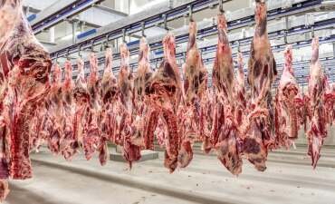 Exportações de carne bovina disparam 37,9% e superam US$ 1,4 bilhão em janeiro