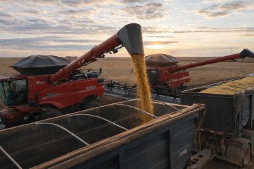 Potência mato-grossense desenvolve cidades e impulsiona a economia brasileira