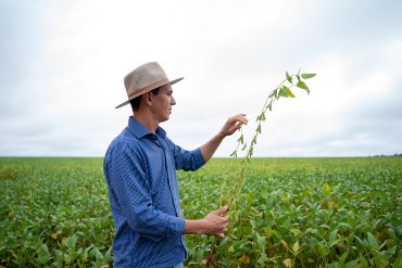 Legado que atravessa gerações: a trajetória da família Frizzo no agro de Querência