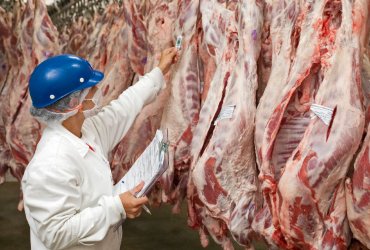Exportações de carne bovina crescem 23,9% em fevereiro; com alta em volume e faturamento 
